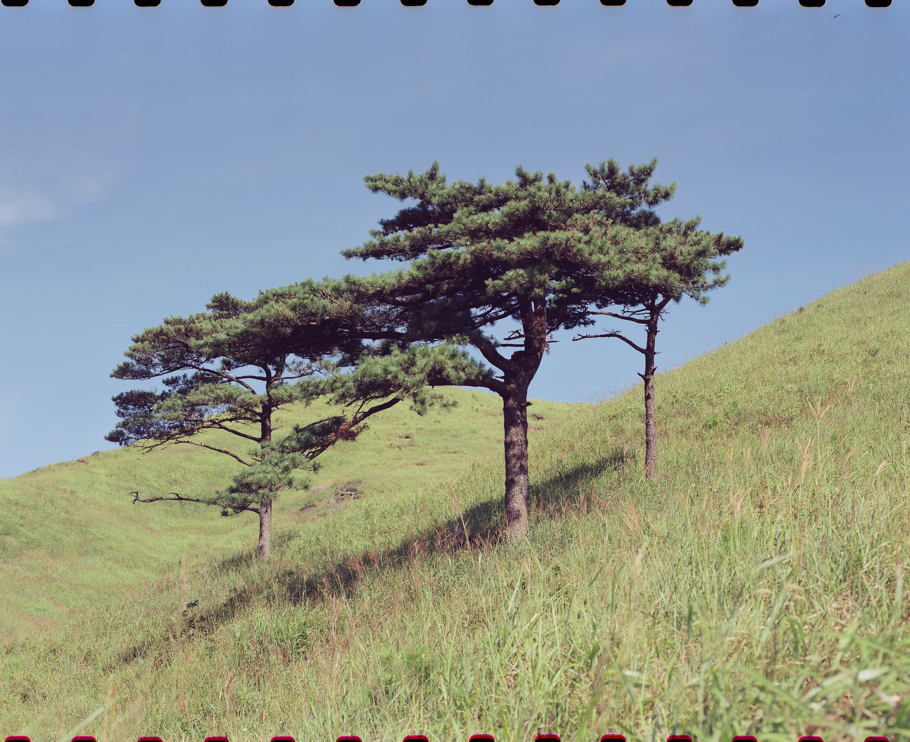 Sample content thumbnail
